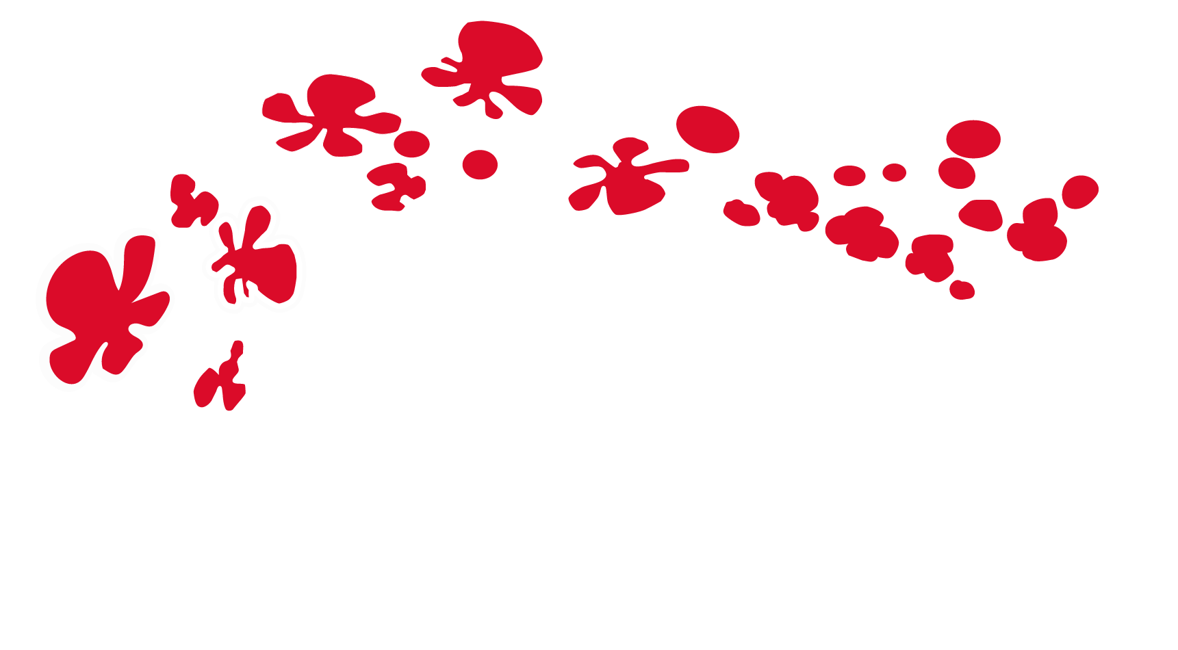 Meihua Asian Market 